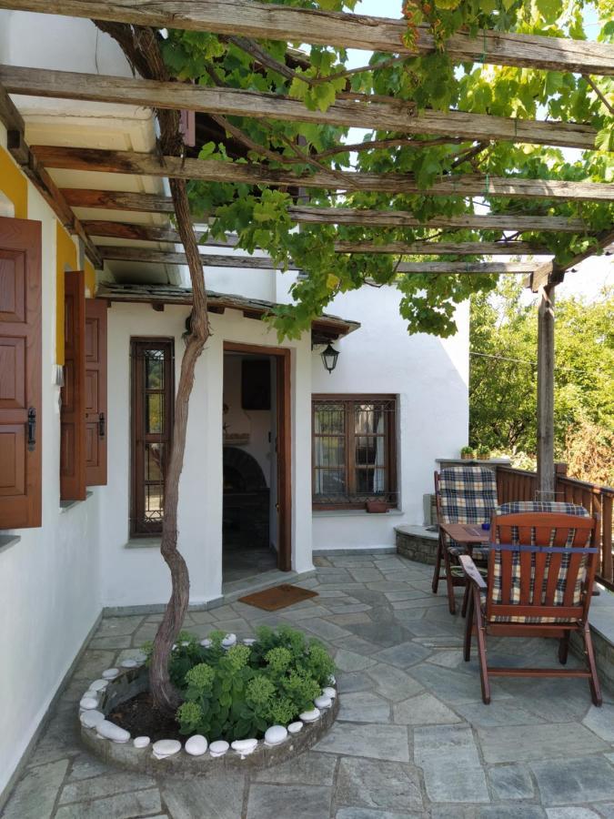 Villa Katerina Tsagarada Exterior foto